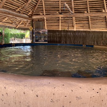 Florida Keys Aquarium Encounters - Sting Ray pool with multiple GIANT rays plus several other little ones - Aquariums Near Me - Marathon, Florida Florida Keys Aquarium Encounters - Sting Ray pool with multiple GIANT rays plus several other little ones - Aquariums Near Me - Marathon, Florida