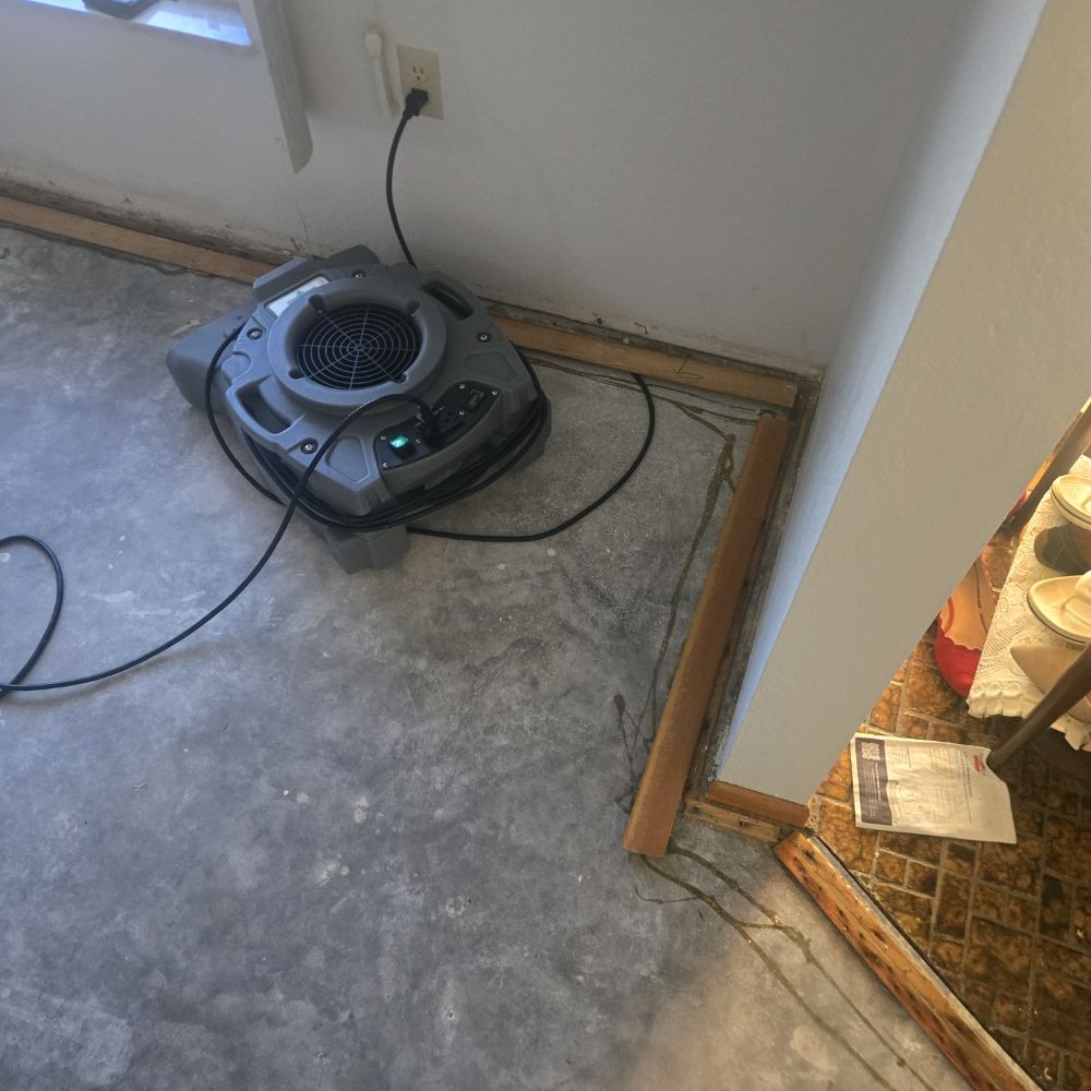 Mold, M D - mold inspector in North Port, FL