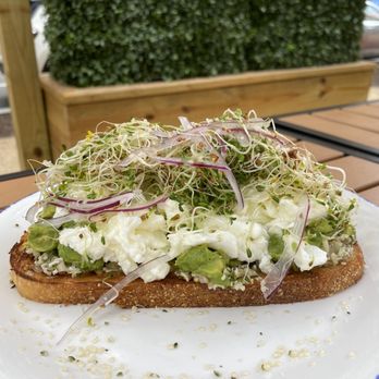The Admiral - loaded avocado toast - Bars Near Me - Washington, DC, District of Columbia The Admiral - loaded avocado toast - Bars Near Me - Washington, DC, District of Columbia