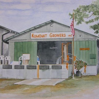 Dade City - Packaging Building - Local Flavor Near Me
