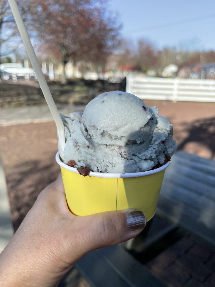 OWOWCOW CREAMERY 80 Photos & 145 Reviews Ice Cream & Frozen Yogurt