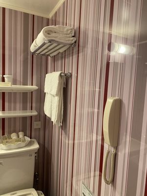 Hotel Monterey Kyoto by null
