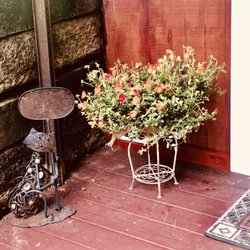 Opelika's Farmers Market - Just grabbed two short iron planters and the plants....