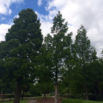 Salford Park - Path to the reservoir. - Parks Near Me - Birmingham, XWM