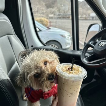 The Barrow Brew - Coffee & Tea Near Me - Caliente, Nevada