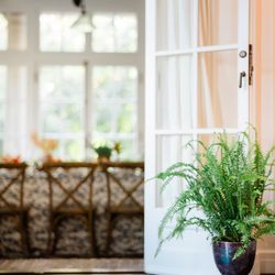 Analog Plant Rentals
