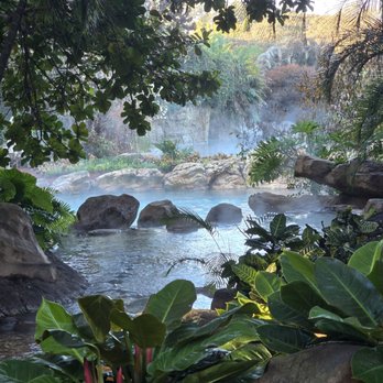Discovery Cove - Amusement Parks Near Me - Orlando, Florida