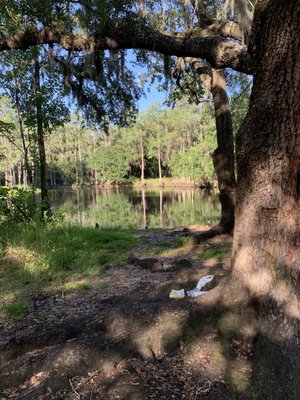 Shingle Creek Regional Park by null