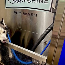 Soak + Shine Auto & Pet Wash