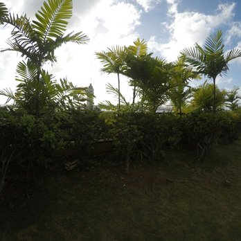 Honolulu Rooftop Garden - Parks Near Me - Honolulu, Hawaii Honolulu Rooftop Garden - Parks Near Me - Honolulu, Hawaii