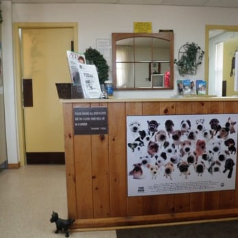Village Animal Clinic - Veterinarians Near Me - Markham, Ontario Village Animal Clinic - Veterinarians Near Me - Markham, Ontario
