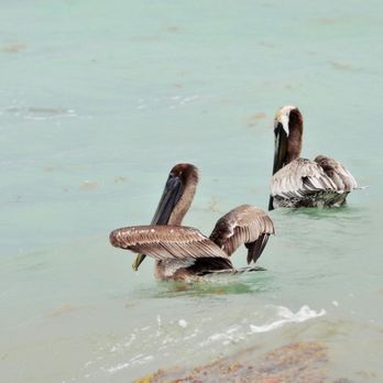 Von D. Mizell and Eula Johnson State Park - Parks Near Me - Dania, Florida