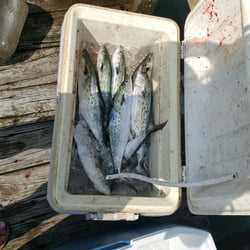 Deep Sea Express Fishing Charters