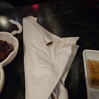 Korea House - Korean Near Me - Houston, Texas Korea House - Korean Near Me - Houston, Texas
