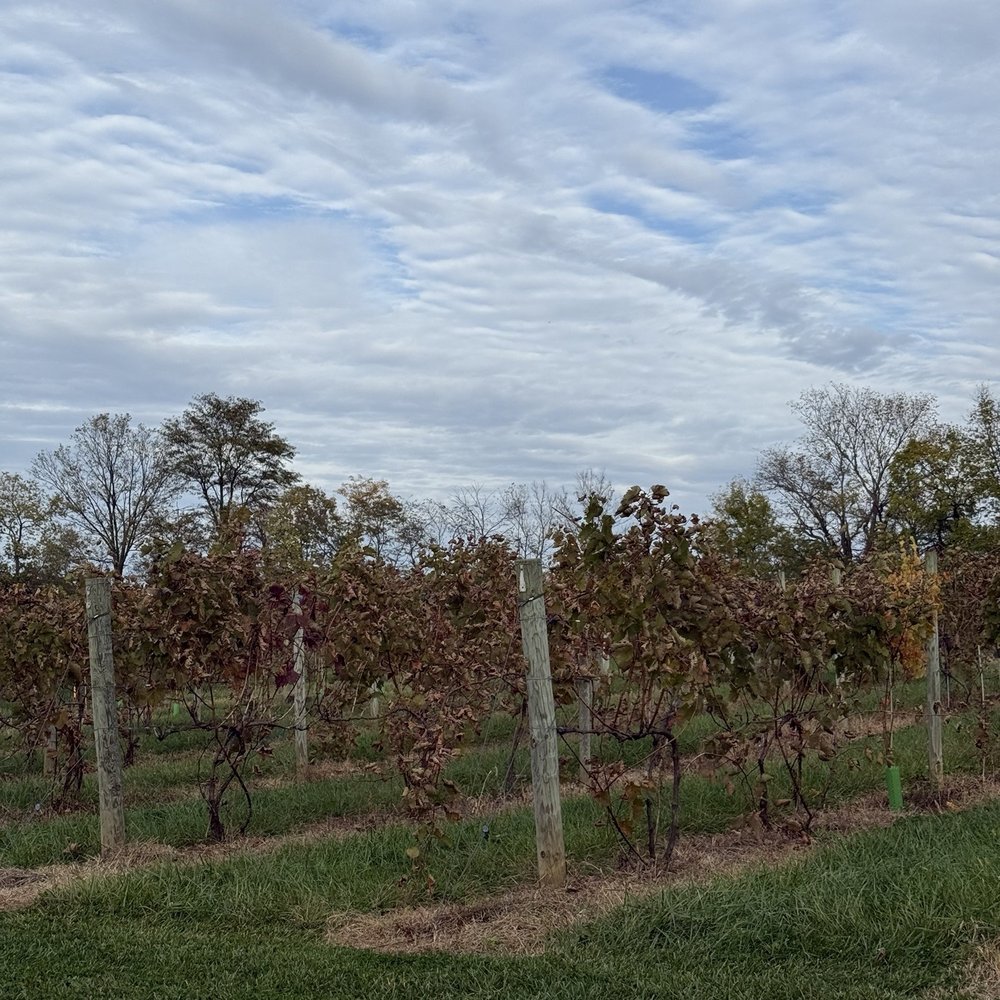 Mirabelle Farm & Vineyard - Wine Tasting Room Near Me - Ashville, Ohio