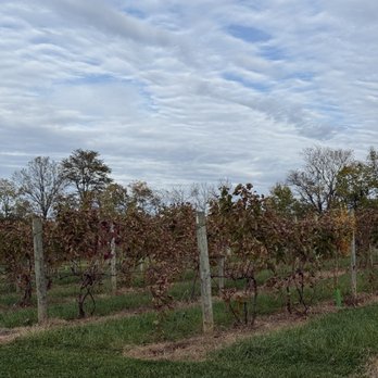 Mirabelle Farm & Vineyard - Wine Tasting Room Near Me - Ashville, Ohio Mirabelle Farm & Vineyard - Wine Tasting Room Near Me - Ashville, Ohio