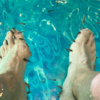 Fish Therapy - My feet a Feast for the Turkish fish - Day Spas Near Me - San José del Cabo, BCS Fish Therapy - My feet a Feast for the Turkish fish - Day Spas Near Me - San José del Cabo, BCS