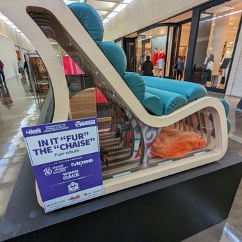 NorthPark Center - Shopping Centers Near Me - Dallas, Texas
