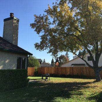 Valley Falls Tree Care - Before tree removal - Tree Services Near Me