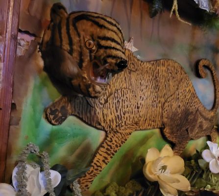 Bob's Java Jive by null