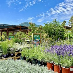 Sloat Garden Center