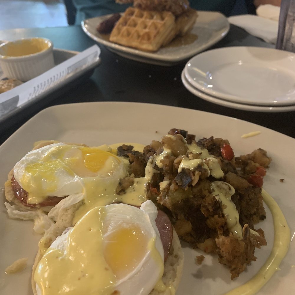 Harps Of Trinity - Poached eggs with Canadian ham - Irish Pub Near Me - Trinity, Florida Harps Of Trinity - Poached eggs with Canadian ham - Irish Pub Near Me - Trinity, Florida