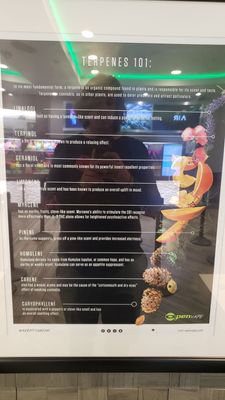 The Grove Dispensary Las Vegas by null
