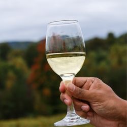 Ott Vineyards And Winery - @tiffhuangry