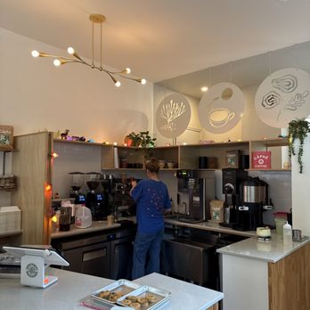 Seaforest Bakeshop - Coffee & Tea Near Me - Philadelphia, Pennsylvania Seaforest Bakeshop - Coffee & Tea Near Me - Philadelphia, Pennsylvania