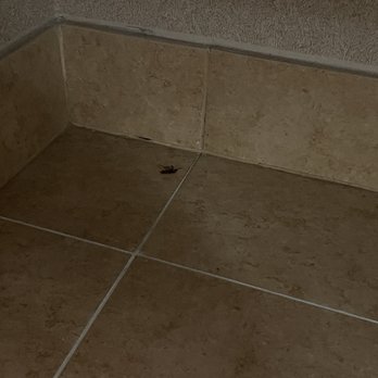 Poco Diablo Resort - Roaches - Hotels Near Me - Sedona, Arizona