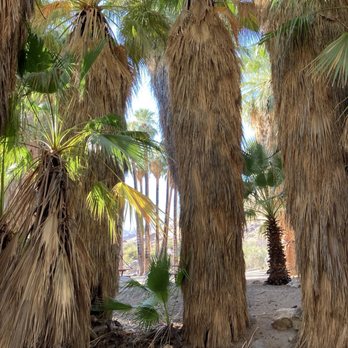 Indian Canyons - Parks Near Me - Palm Springs, California