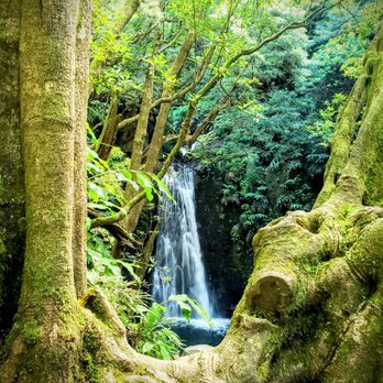 Greenzone Azores Tours - Tours Near Me Greenzone Azores Tours - Tours Near Me