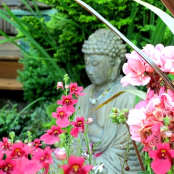 Dr Dick Shepard - Chiropractors Near Me - Seattle, Washington