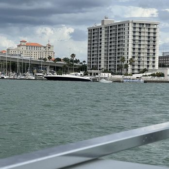 Encounter With Dolphins - Boating Near Me - Clearwater, Florida