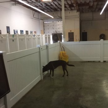 Flying High Pet Resort - Pet Groomers Near Me - Camarillo, California