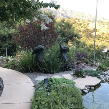 Mary Cardea Landscaping - Cranes by recirculating pond - Landscaping Near Me - Glendale, California Mary Cardea Landscaping - Cranes by recirculating pond - Landscaping Near Me - Glendale, California