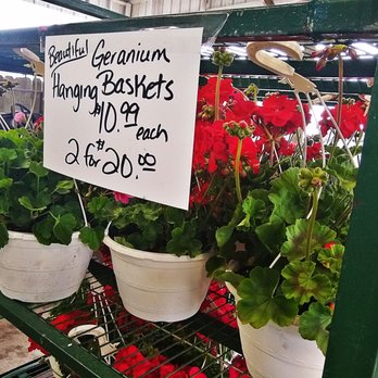 Block's Stand & Greenhouse - Farmers Market Near Me - Romulus, Michigan