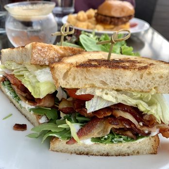 H Cafe - Spicy Burrata BLT - Breakfast & Brunch Near Me - Los Angeles, California H Cafe - Spicy Burrata BLT - Breakfast & Brunch Near Me - Los Angeles, California
