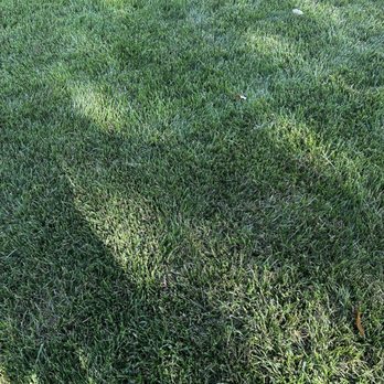 TurfGrass Experts - Back yard - Artificial Turf Near Me - Milford, Ohio TurfGrass Experts - Back yard - Artificial Turf Near Me - Milford, Ohio