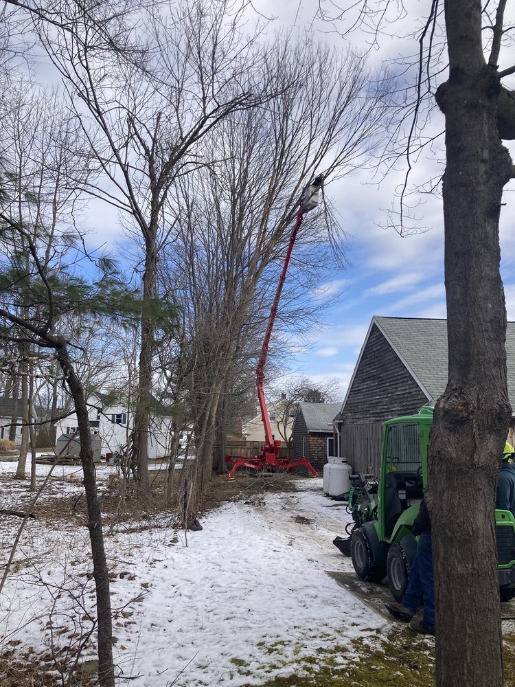 T W Enterprises - tree service in Westbrook, ME