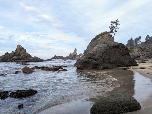 Shi Shi Beach by null