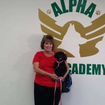 Alpha K9 Academy - Getting ready for our next event June 6. Maxi Mae is ready. - Pet Training Near Me - Visalia, California