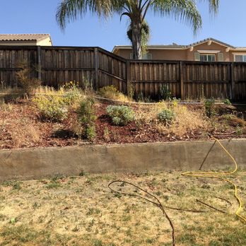 Raul's Tree And Hauling Services - Before - Tree Services Near Me - Menifee, California Raul's Tree And Hauling Services - Before - Tree Services Near Me - Menifee, California