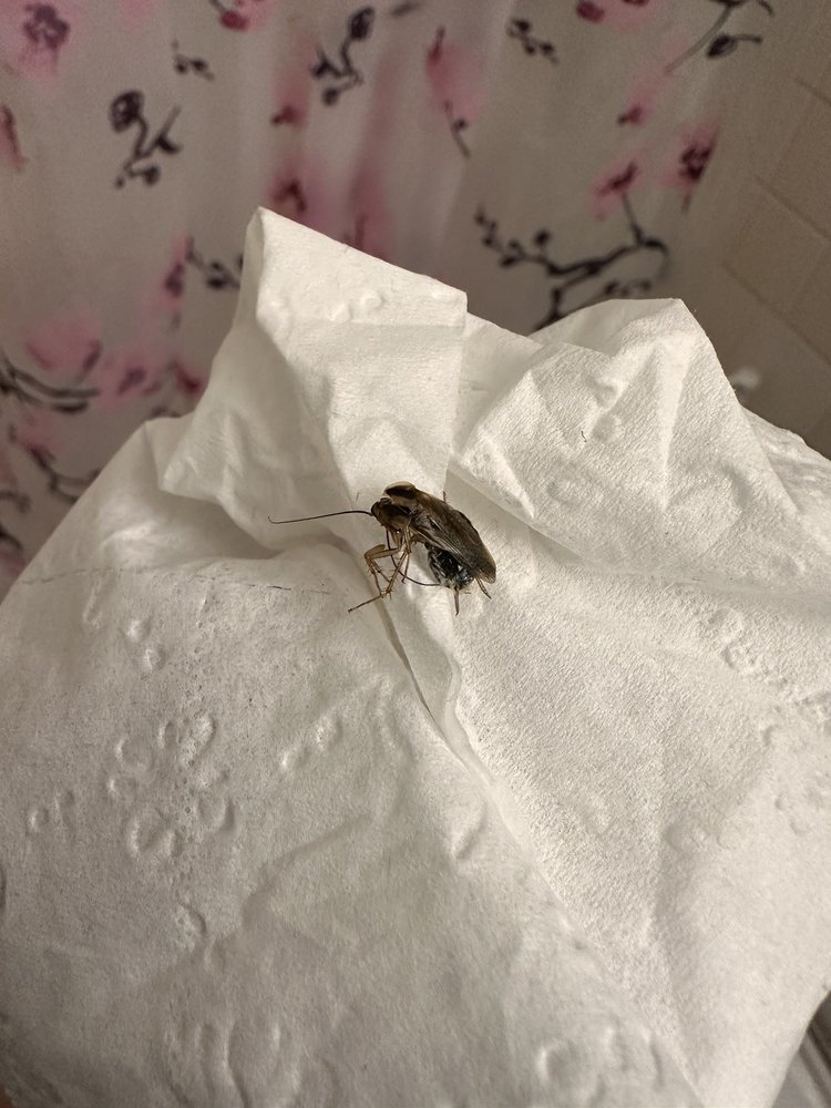 WOODMAN PARK APARTMENTS 40 Photos 4996 Woodman Park Dr, Dayton, OH