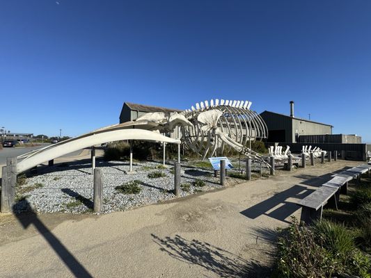 Seymour Marine Discovery Center by null