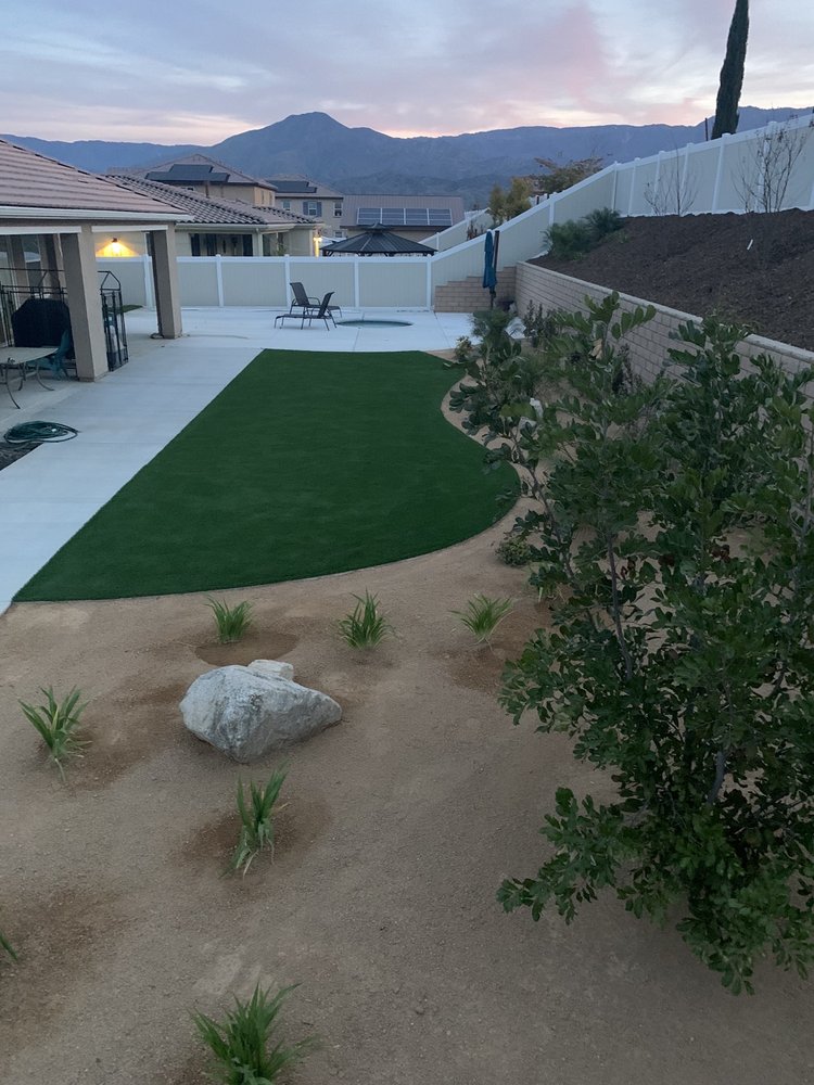 DAVID OLLIS LANDSCAPE DEVELOPMENT Updated April 2024 10 Photos
