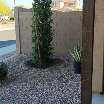 Moon Valley Nurseries - Nurseries & Gardening Near Me - Avondale, Arizona