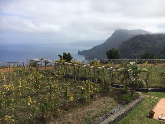 Hotel Quinta do Furão by null