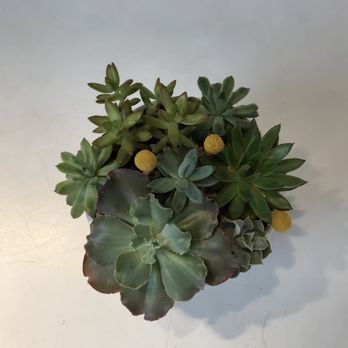 Beards Floral Design - Florists Near Me - Wichita, Kansas Beards Floral Design - Florists Near Me - Wichita, Kansas