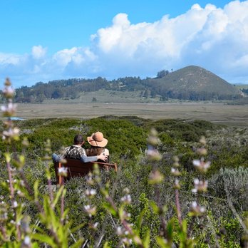 Los Osos Elfin Forest - Parks Near Me